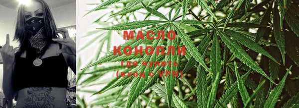 мет Дмитров