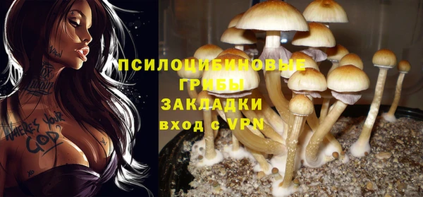 стафф Вязники